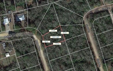 Lake Tonkawa Lot For Sale in Normangee Texas
