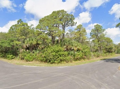 Nice building lot in the heart of Port Charlotte just west of - photo 2