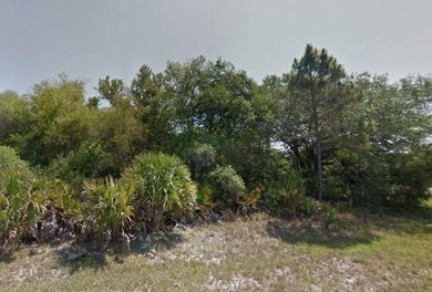 Nice, wooded building lot in the heart of Port Charlotte just - photo 2