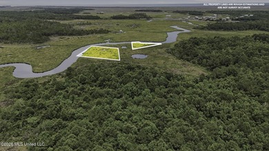 Over 10 acres in the Bay St. Louis area, This property is - photo 12