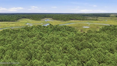 Over 10 acres in the Bay St. Louis area, This property is - photo 14