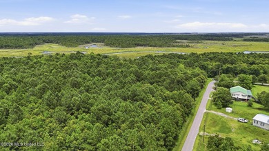 Over 10 acres in the Bay St. Louis area, This property is - photo 15