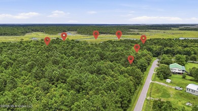 Over 10 acres in the Bay St. Louis area, This property is - photo 16