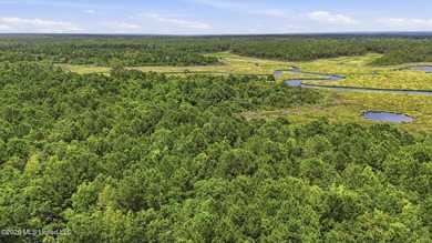 Over 10 acres in the Bay St. Louis area, This property is - photo 18