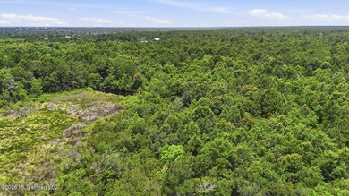 Over 10 acres in the Bay St. Louis area, This property is - photo 19