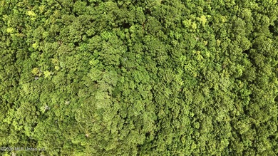 Over 10 acres in the Bay St. Louis area, This property is - photo 20