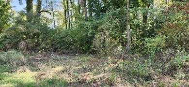 (private lake, pond, creek) Acreage For Sale in Edwardsburg Michigan