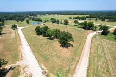 1.64 Acres in the Heart of the Lake Fork area in Yantis Tx - photo 12