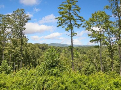Ellijay River Lot For Sale in Ellijay Georgia