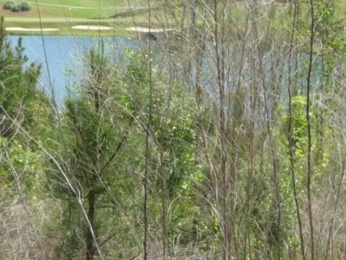Lake Lot For Sale in Aiken, South Carolina