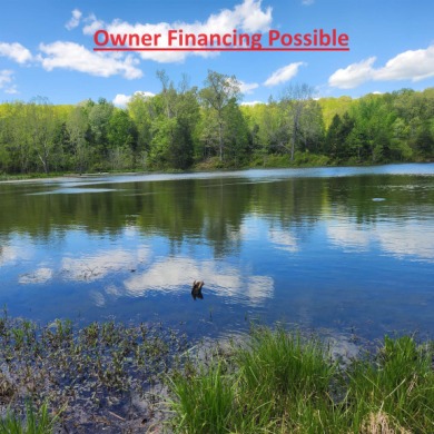 Spring River - Sharp County Lot For Sale in Hardy Arkansas