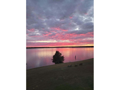 Lakefront Living at Its Best | 1174 Bridgeview Lane Wake up to - photo 26