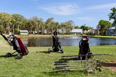 TURNKEY,FULLY FURNISHED 2BR/2BA with stunning lake and golf - photo 40