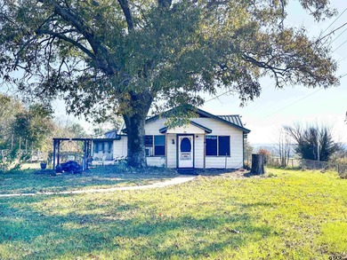 Lake Home For Sale in Larue, Texas