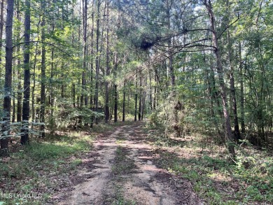 Lake Acreage For Sale in Harrisville, Mississippi