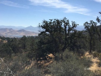 Lake Isabella Acreage For Sale in Wofford Heights California