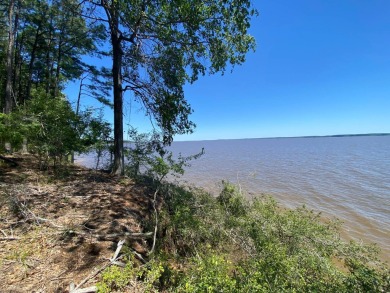 Lake Acreage For Sale in Shelbyville, Texas