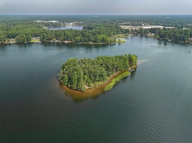 Here's your chance to own a part of Minocqua Chain history - photo 1