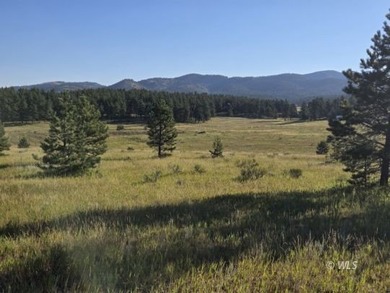 (private lake, pond, creek) Acreage For Sale in Westcliffe Colorado
