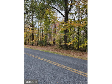 (private lake, pond, coastal) Acreage For Sale in Sudlersville Maryland