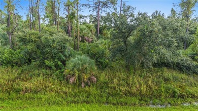 Northport Waterway Lakes and Canals Lot For Sale in North Port Florida