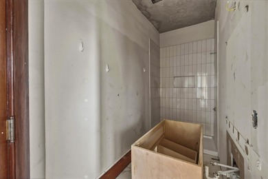 Historic Downtown Investment Opportunity showcasing timeless - photo 47
