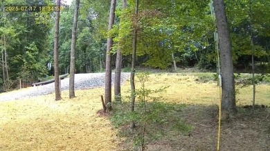 Lake Lot For Sale in Ellijay, Georgia