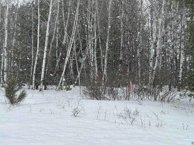 1.26 Acre building site in Iron River! Nestle your new home amid - photo 5