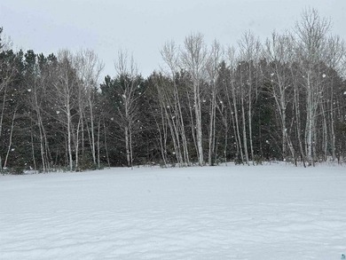 1.26 Acre building site in Iron River! Nestle your new home amid - photo 6