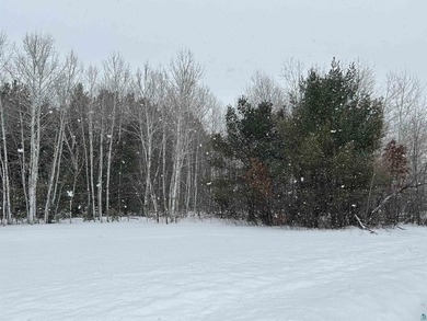1.26 Acre building site in Iron River! Nestle your new home amid - photo 7