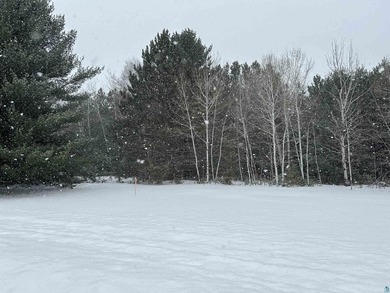 1.26 Acre building site in Iron River! Nestle your new home amid - photo 8