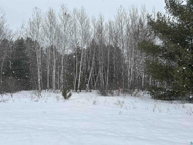 1.26 Acre building site in Iron River! Nestle your new home amid - photo 9