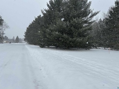 1.26 Acre building site in Iron River! Nestle your new home amid - photo 10