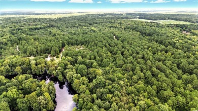 Lake Lot For Sale in Nichols, South Carolina