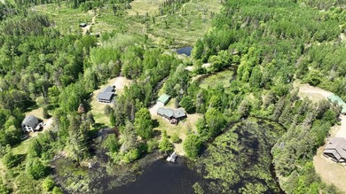 Additional listing photo 1