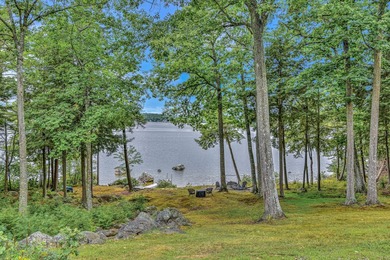 PRIVATE LAKEFRONT HOME. Welcome to your serene 8-acre hideaway - photo 11