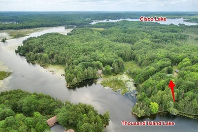 Discover Northwoods living at its finest on Thousand Island Lake - photo 3