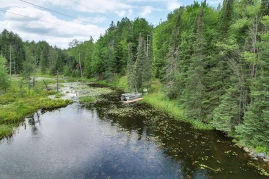Discover Northwoods living at its finest on Thousand Island Lake - photo 4