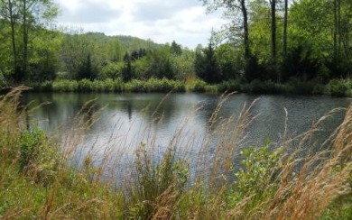 Lake Chatuge Lot For Sale in Hayesville North Carolina