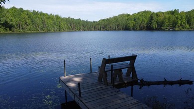 Enjoy year-round living on your 1.5 acres including 160 feet of - photo 10