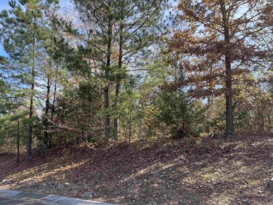 Lake Hamilton Lot For Sale in Hot Springs Arkansas