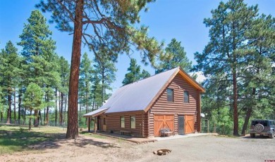 Lake Home For Sale in Pagosa Springs, Colorado