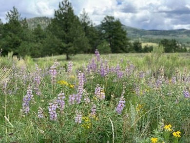(private lake, pond, creek) Acreage For Sale in Westcliffe Colorado