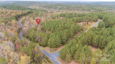 (private lake, pond, coastal) Acreage For Sale in Mooresboro North Carolina