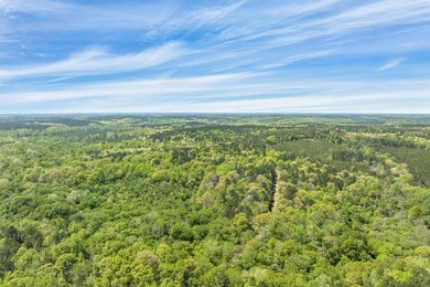 Discover the perfect blend of seclusion, natural beauty and - photo 12