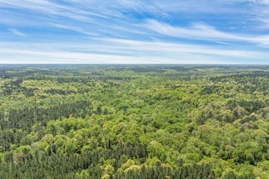 Discover the perfect blend of seclusion, natural beauty and - photo 13