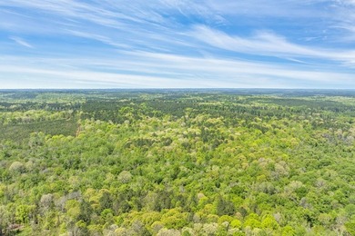Discover the perfect blend of seclusion, natural beauty and - photo 20