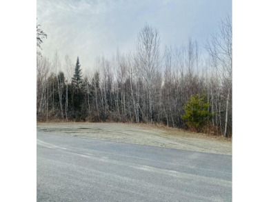 Lake Acreage For Sale in Newport, Maine