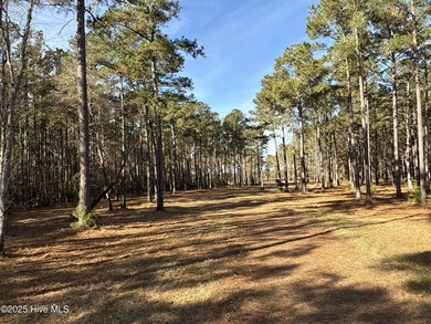 Extraordinary 112-acre waterfront property on the Pungo River - photo 33