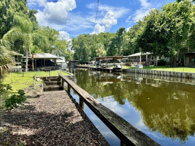 Lake Home For Sale in Astor, Florida